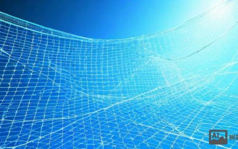 安全网的网格，如何确保其质量和有效性？