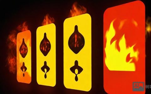 如何通过防火墙应用实验提升网络安全技能？