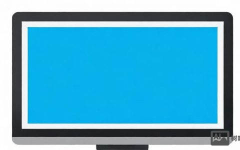 为何服务器管理工具会出现空白现象？