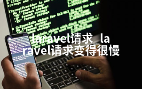 laravel请求_laravel请求变得很慢