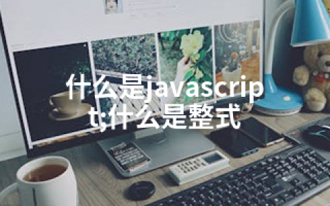 什么是javascript;什么是整式