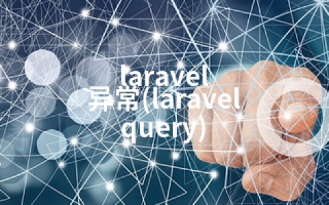 laravel 异常(laravel query)