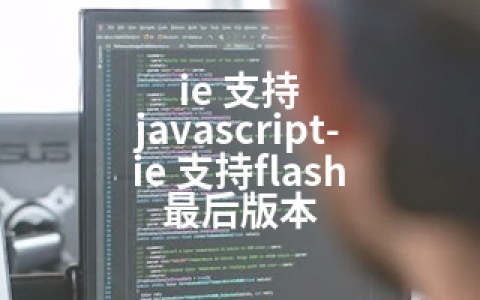 ie 支持 javascript-ie 支持flash 最后版本