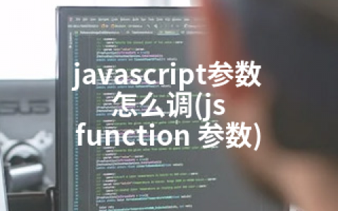 javascript参数怎么调(js function 参数)