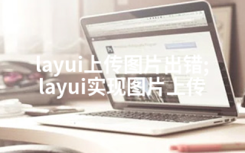 layui上传图片出错;layui实现图片上传
