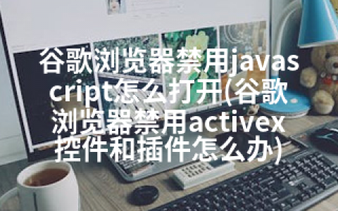 谷歌浏览器禁用javascript怎么打开(谷歌浏览器禁用activex控件和插件怎么办)