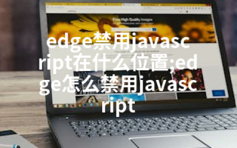 edge禁用javascript在什么位置;edge怎么禁用javascript