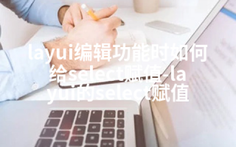 layui编辑功能时如何给select赋值-layui的select赋值