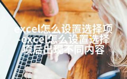 excel怎么设置选择项-excel怎么设置选择项后出现不同内容