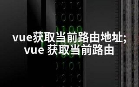 vue获取当前路由地址;vue 获取当前路由