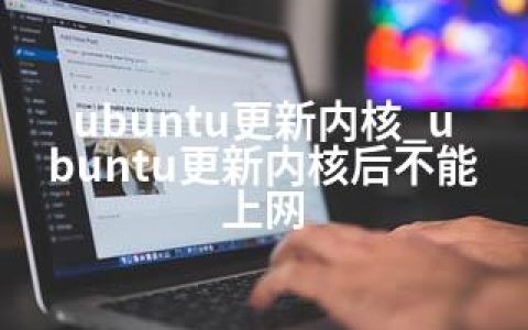 ubuntu更新内核_ubuntu更新内核后不能上网
