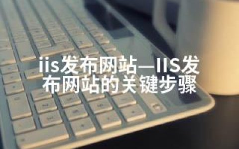 iis发布网站—IIS发布网站的关键步骤