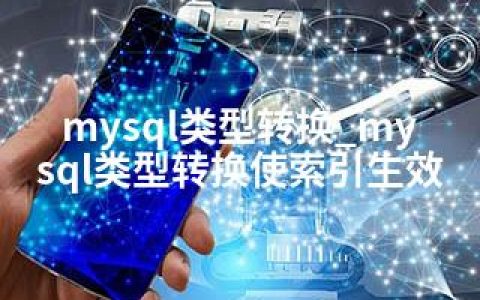 mysql类型转换_mysql类型转换使索引生效