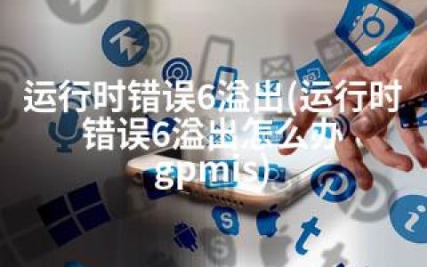 运行时错误6溢出(运行时错误6溢出怎么办 gpmis)