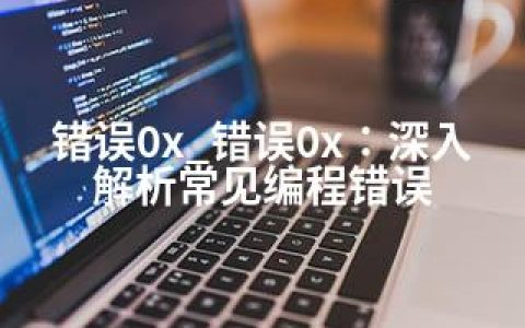 错误0x_错误0x：深入解析常见编程错误