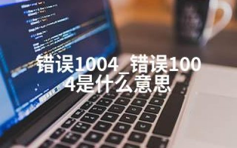 错误1004_错误1004是什么意思