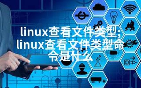 linux查看文件类型;linux查看文件类型命令是什么