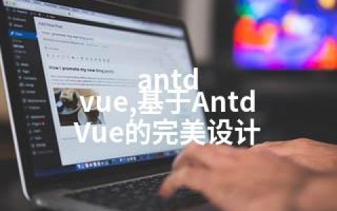 antd vue,基于Antd Vue的完美设计