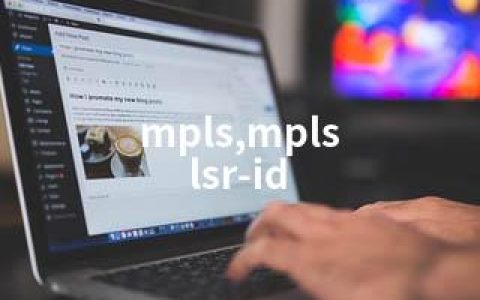 mpls,mpls lsr-id