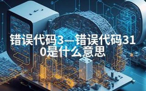 错误代码3—错误代码310是什么意思