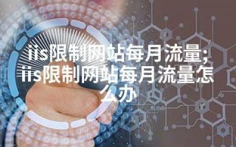 iis限制网站每月流量;iis限制网站每月流量怎么办