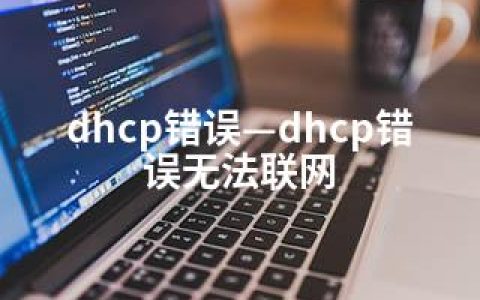 dhcp错误—dhcp错误无法联网