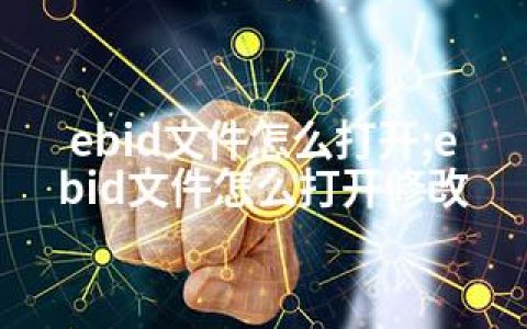 ebid文件怎么打开;ebid文件怎么打开修改