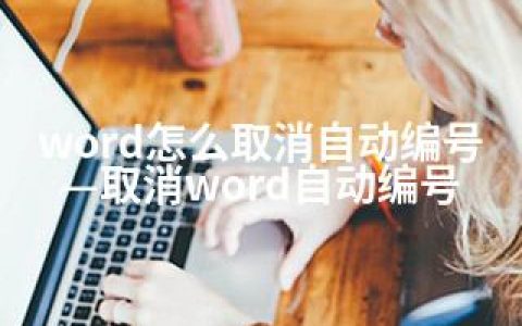 word怎么取消自动编号—取消word自动编号