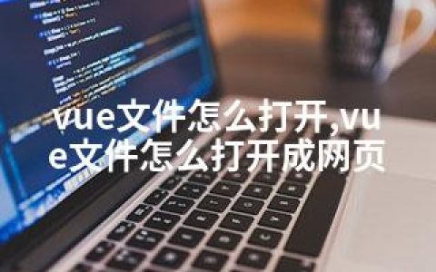 vue文件怎么打开,vue文件怎么打开成网页