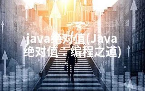 java值(Java值：编程之道)