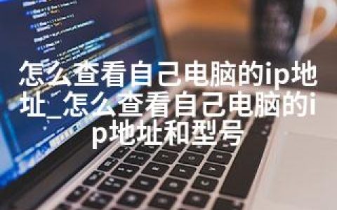 怎么查看自己电脑的ip地址_怎么查看自己电脑的ip地址和型号