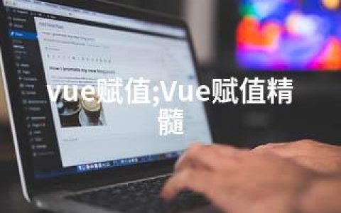 vue赋值;Vue赋值精髓