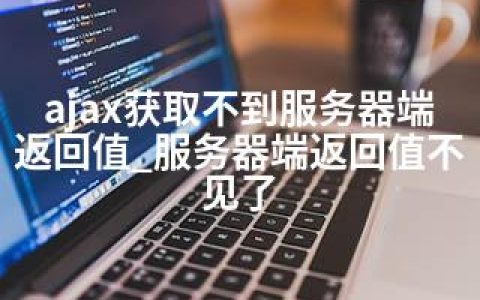 ajax获取不到服务器端返回值_服务器端返回值不见了