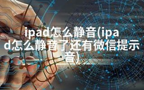 ipad怎么静音(ipad怎么静音了还有微信提示音)