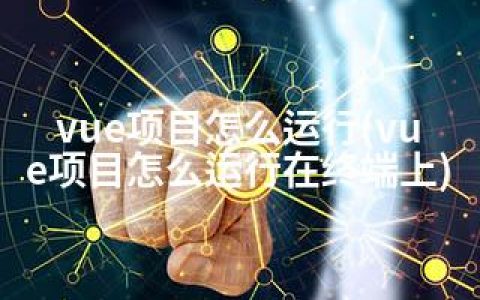 vue项目怎么运行(vue项目怎么运行在终端上)