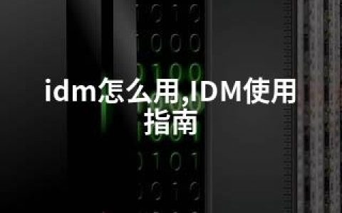 idm怎么用,IDM使用指南