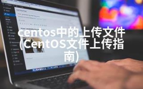 centos中的上传文件(CentOS文件上传指南)