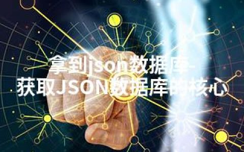 拿到json数据库-获取JSON数据库的核心