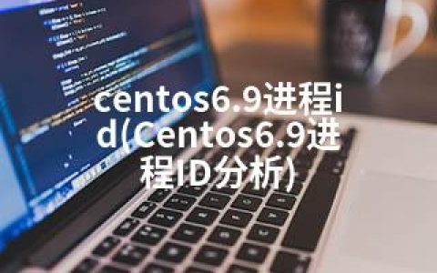 centos6.9进程id(Centos6.9进程ID分析)