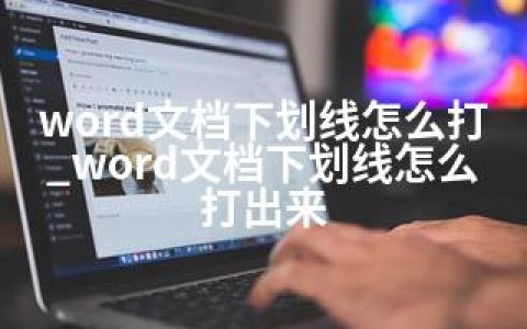 word文档下划线怎么打_word文档下划线怎么打出来