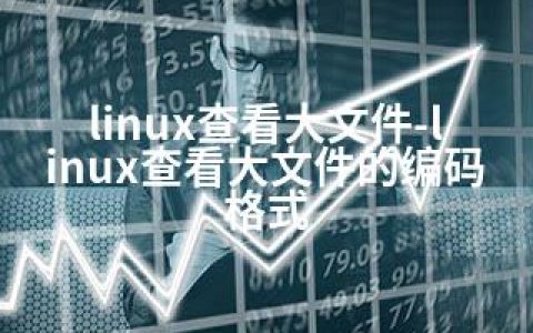 linux查看大文件-linux查看大文件的编码格式