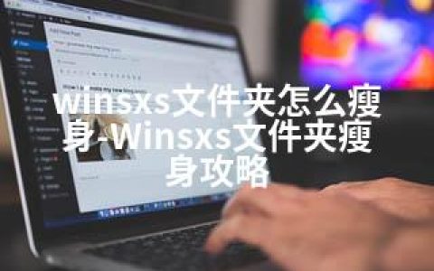 winsxs文件夹怎么瘦身-Winsxs文件夹瘦身攻略