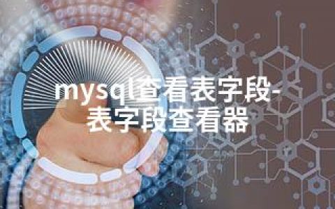 mysql查看表字段-表字段查看器