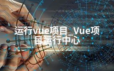 运行vue项目_Vue项目运行中心