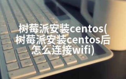 树莓派安装centos(树莓派安装centos后怎么连接wifi)