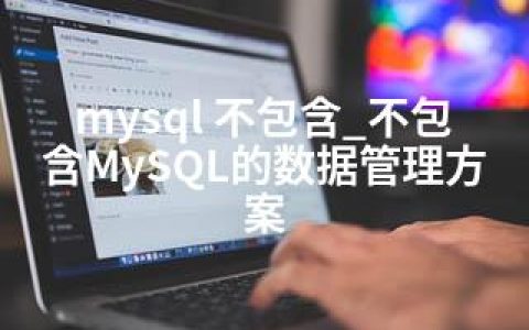 mysql 不包含_不包含MySQL的数据管理方案