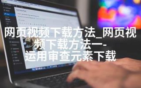 网页视频下载方法_网页视频下载方法一-运用审查元素下载