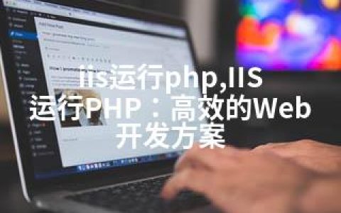 iis运行php,IIS运行PHP：高效的Web开发方案