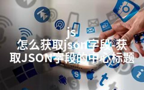 js 怎么获取json字段-获取JSON字段的中心标题