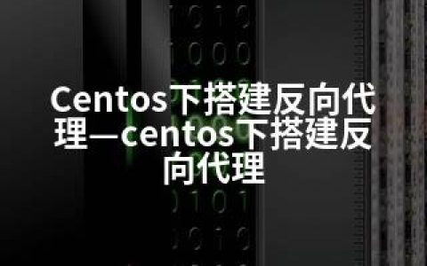 Centos下搭建反向代理—centos下搭建反向代理